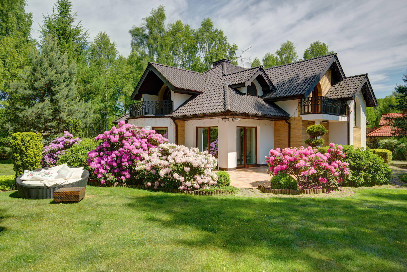 Arborscapes tree service
