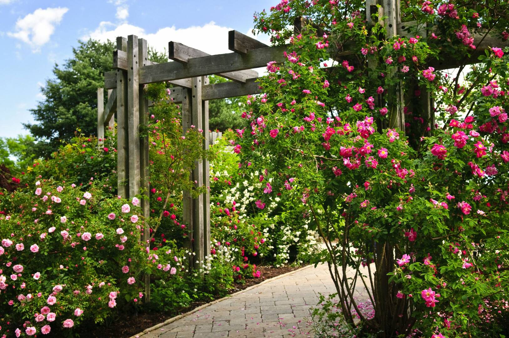 C & J Landscaping