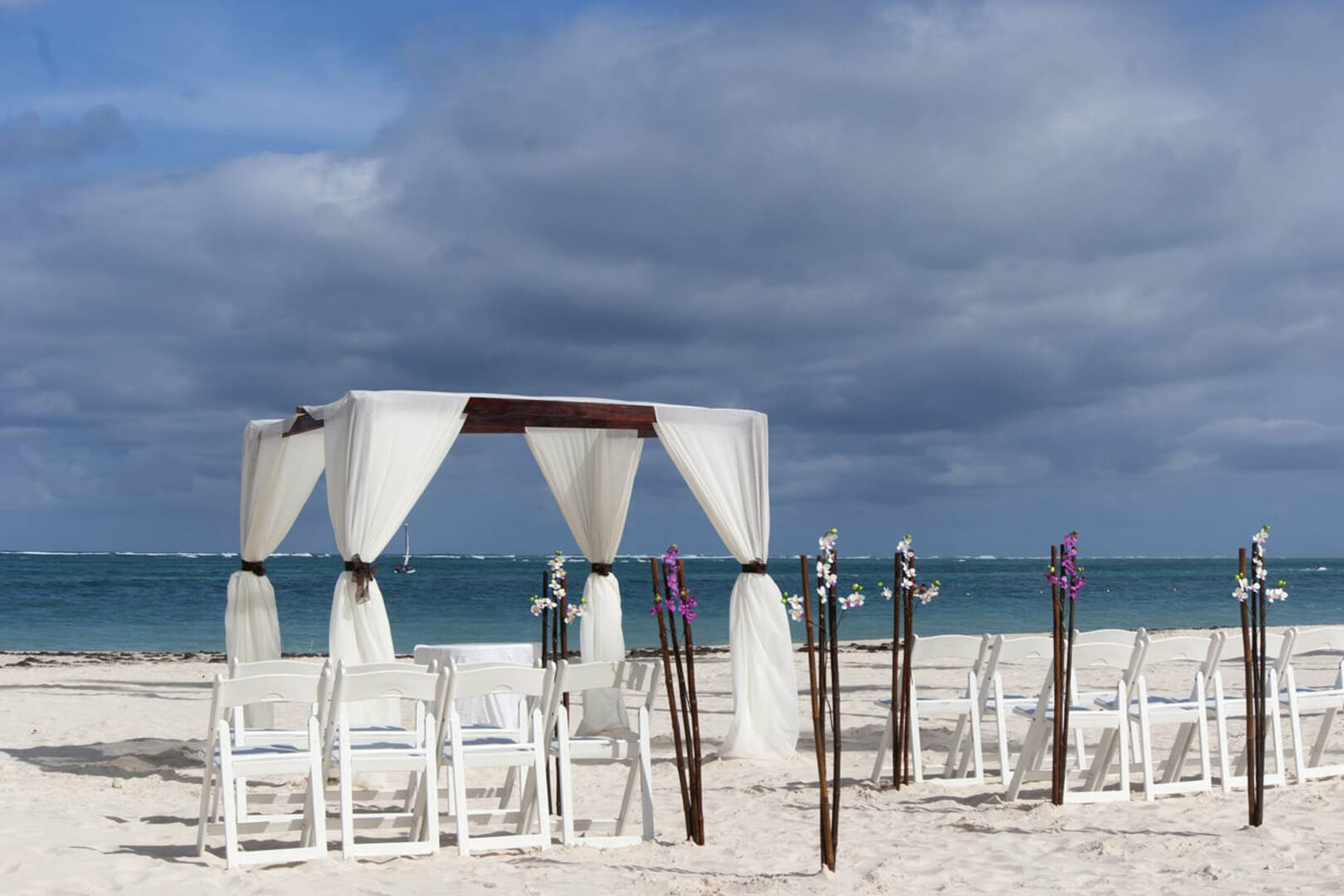 Ricki Lewis Events