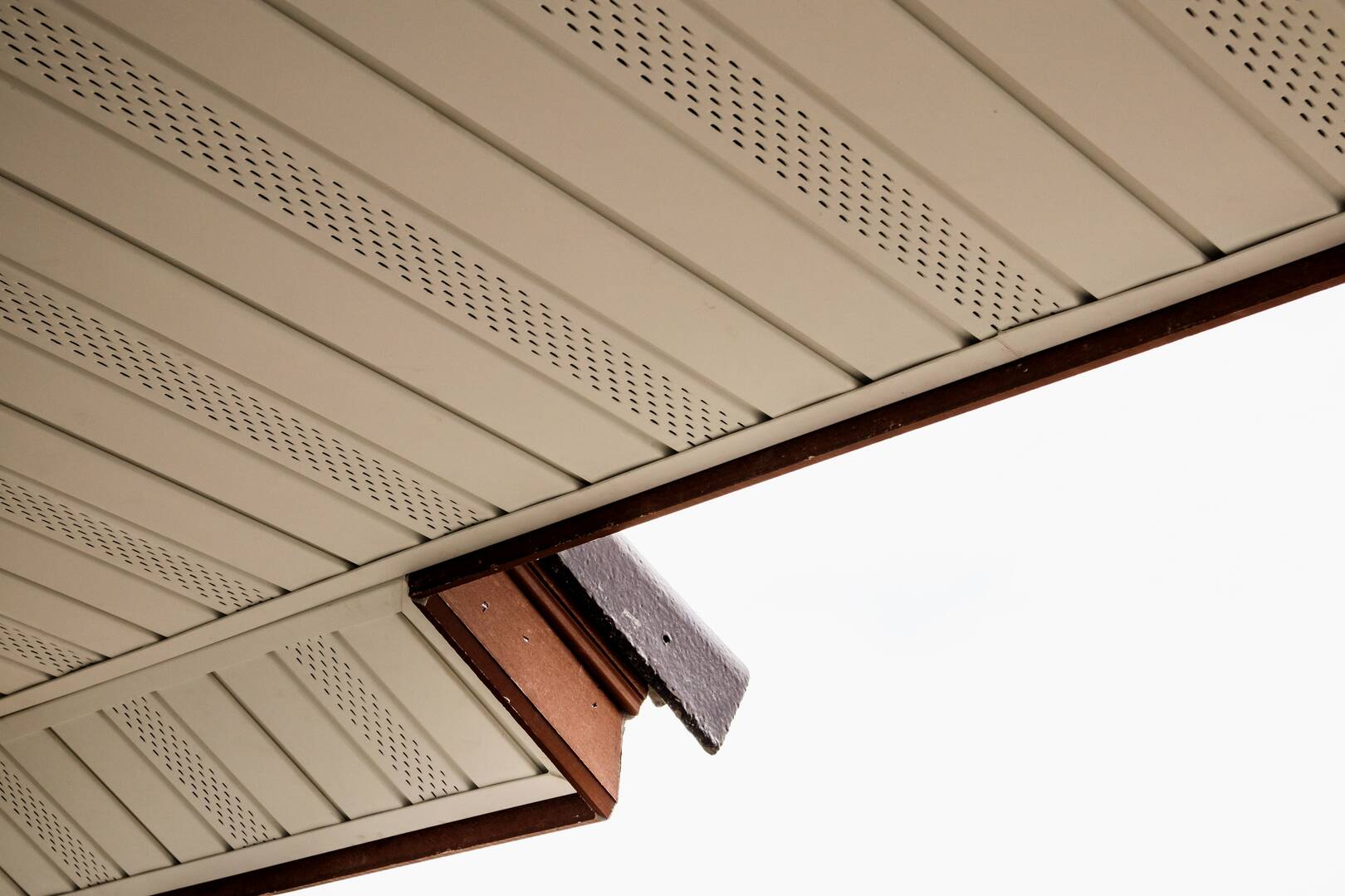 Blue Frog Roofing Limited